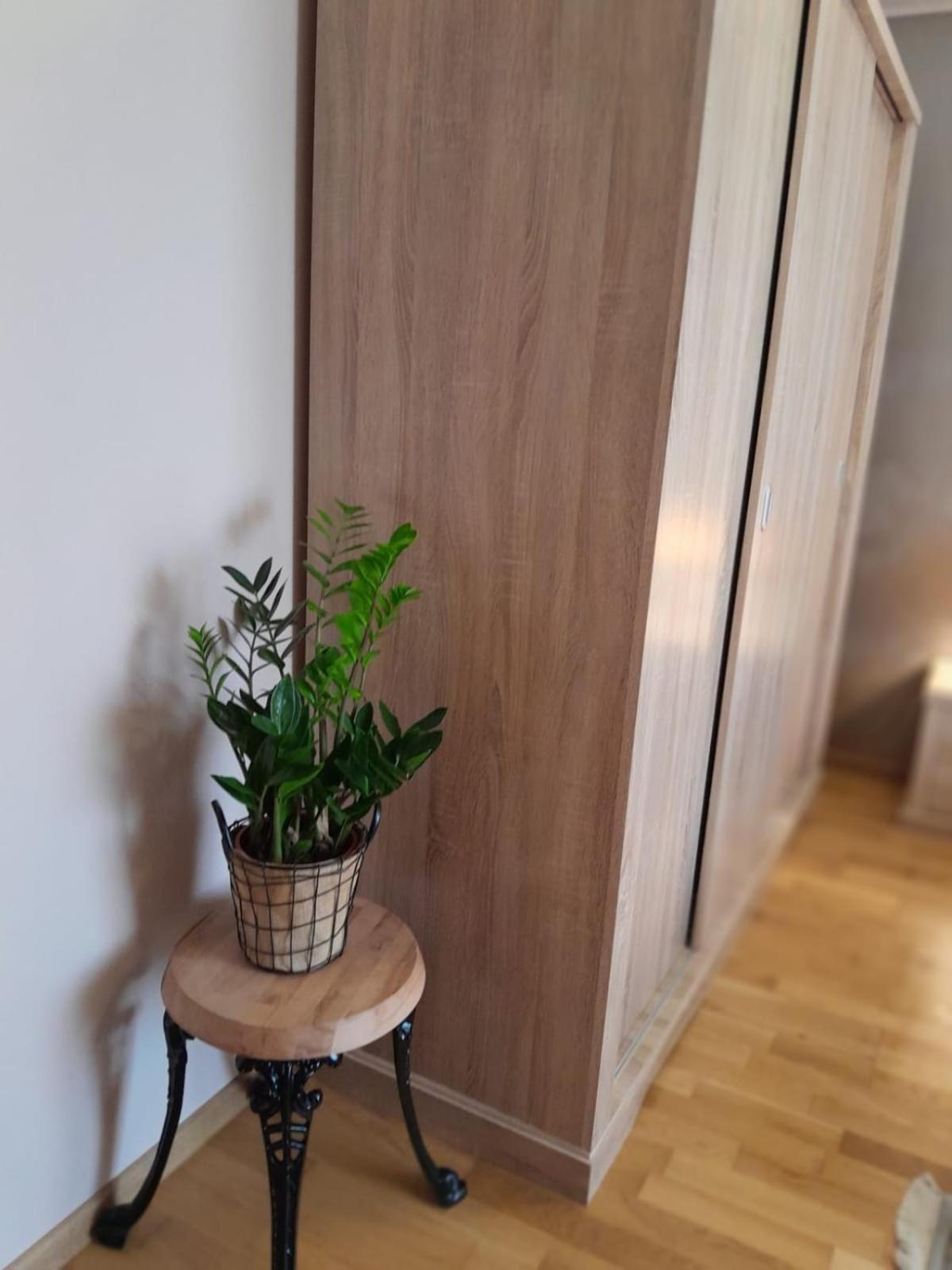 Ap Hector Apartment Năvodari Exterior foto